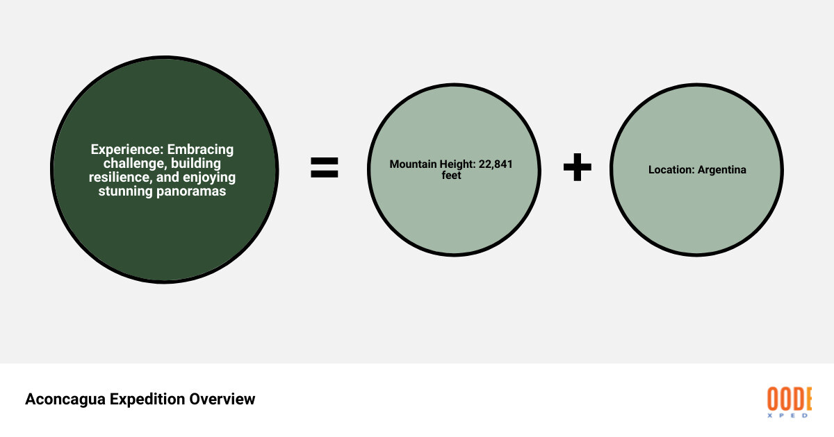 Important statistics about Aconcagua Expedition infographic