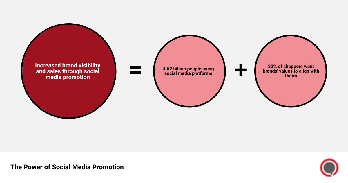 Infographic illustrating the power and potential of social media promotion infographic