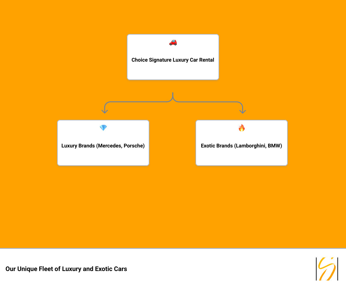 Choice Signature Luxury Car Rental fleet infographic