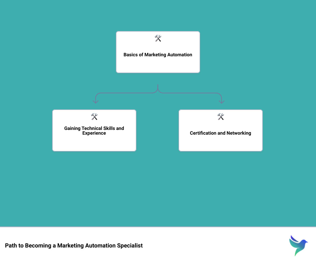 marketing automation consultancyhierarchy