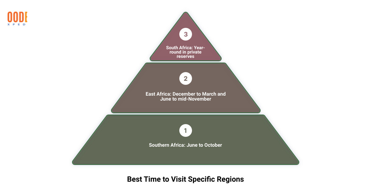 best time for african safari3 stage pyramid