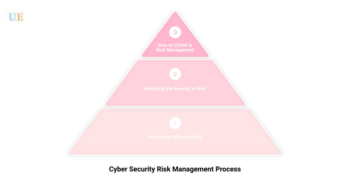 cyber security assessment and management3 stage pyramid