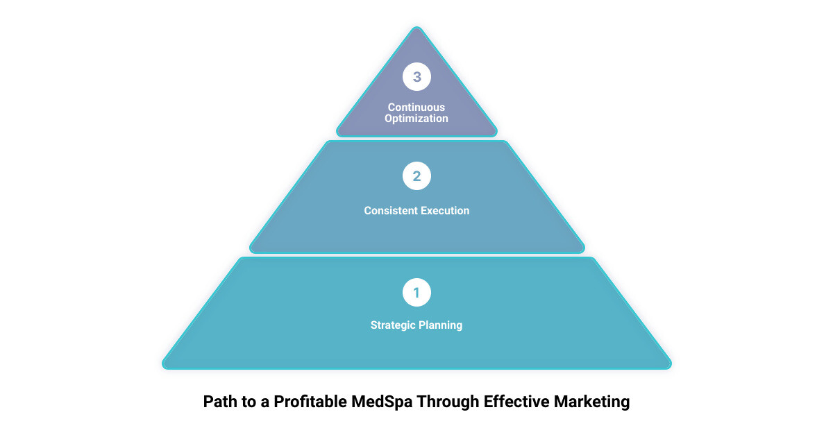 Profitable Medspa through effective marketing infographic