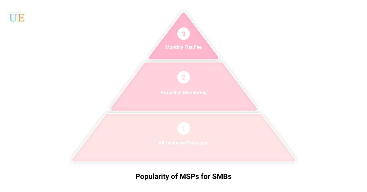 managed it services for smb3 stage pyramid