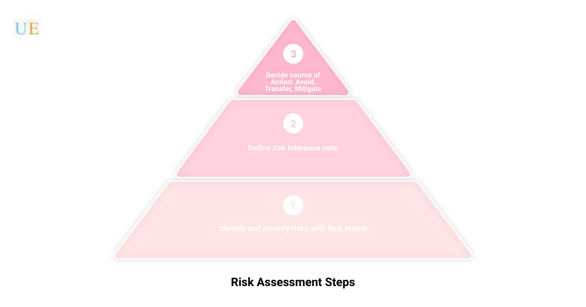 Risk Matrix Visualization infographic