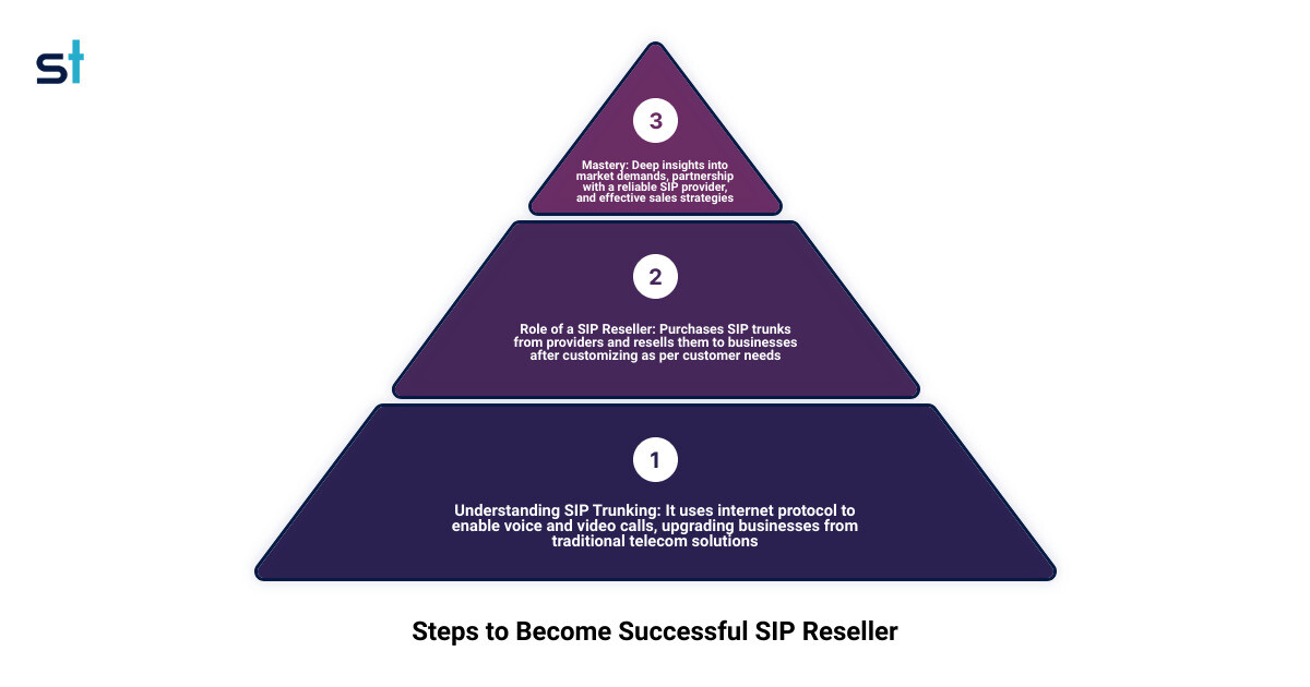 Understanding SIP Reselling Infographic infographic