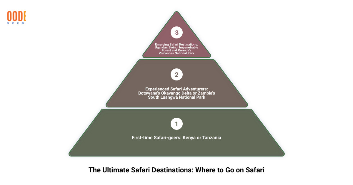 The Ultimate Safari Destinations Infographic infographic