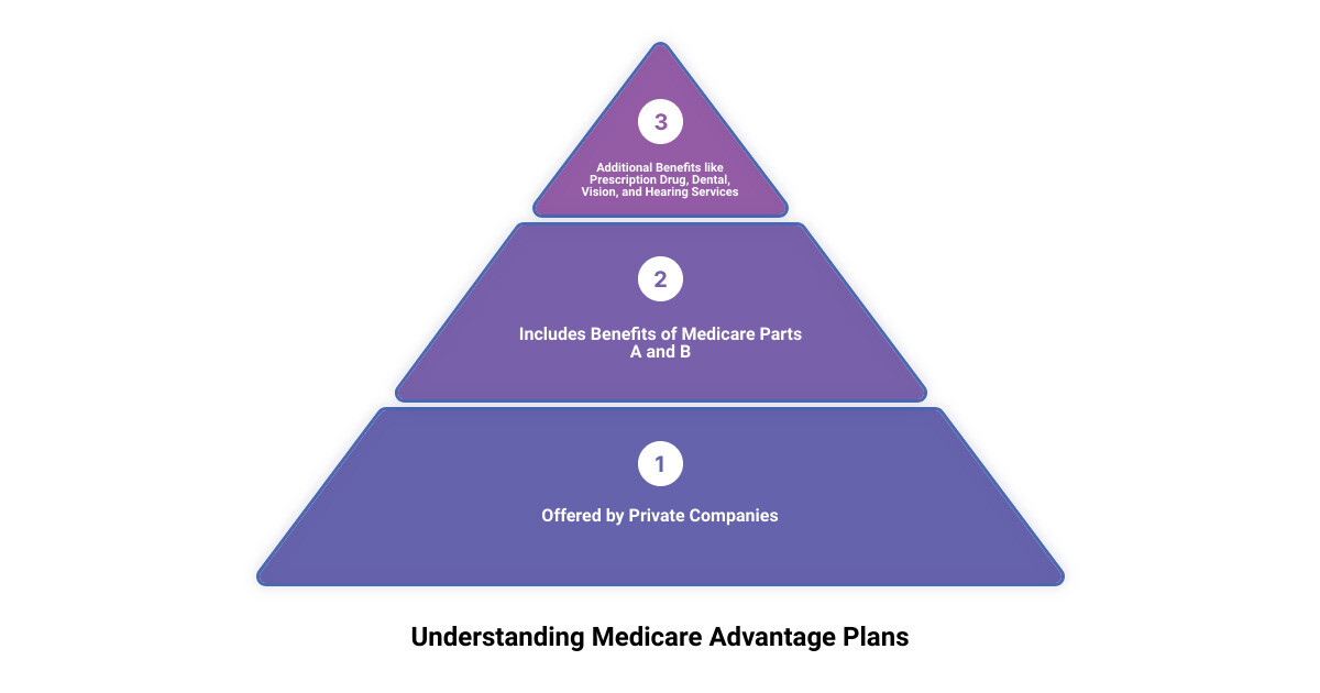 Medicare Advantage Plan Explained infographic