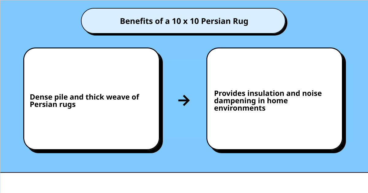 10 x 10 persian rug cause effect