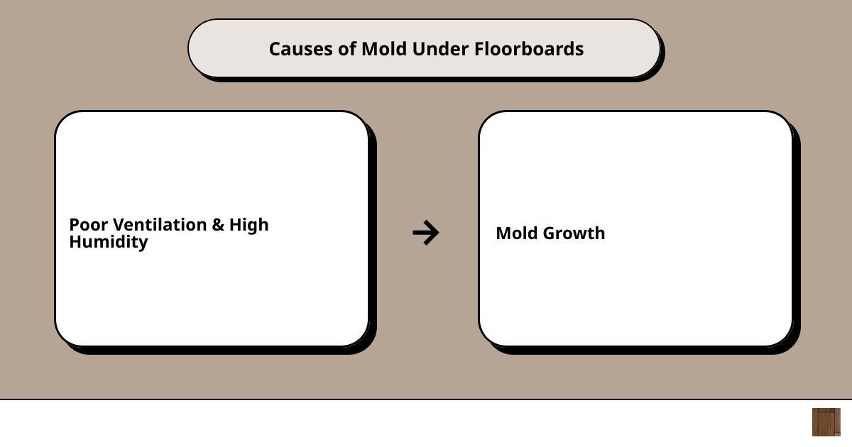 mold under floorboardscause effect