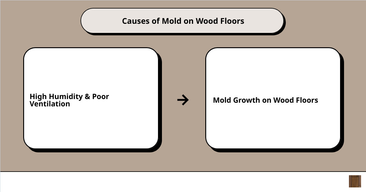 mold in floor woodcause effect