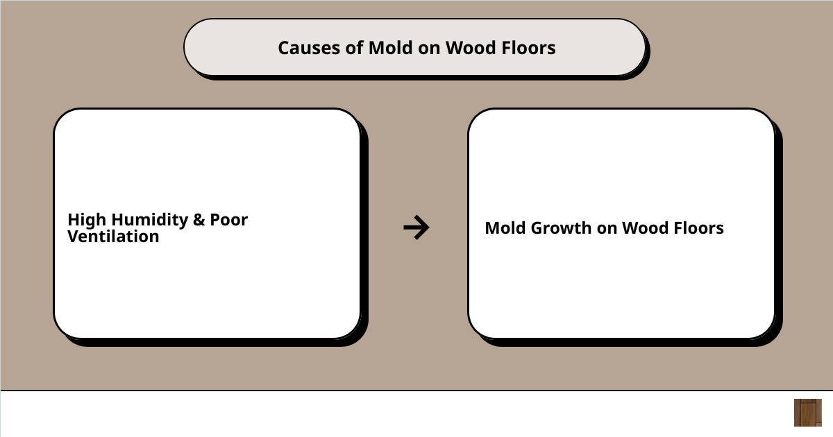 Mold – Does it Lurk Beneath Your Carpet?