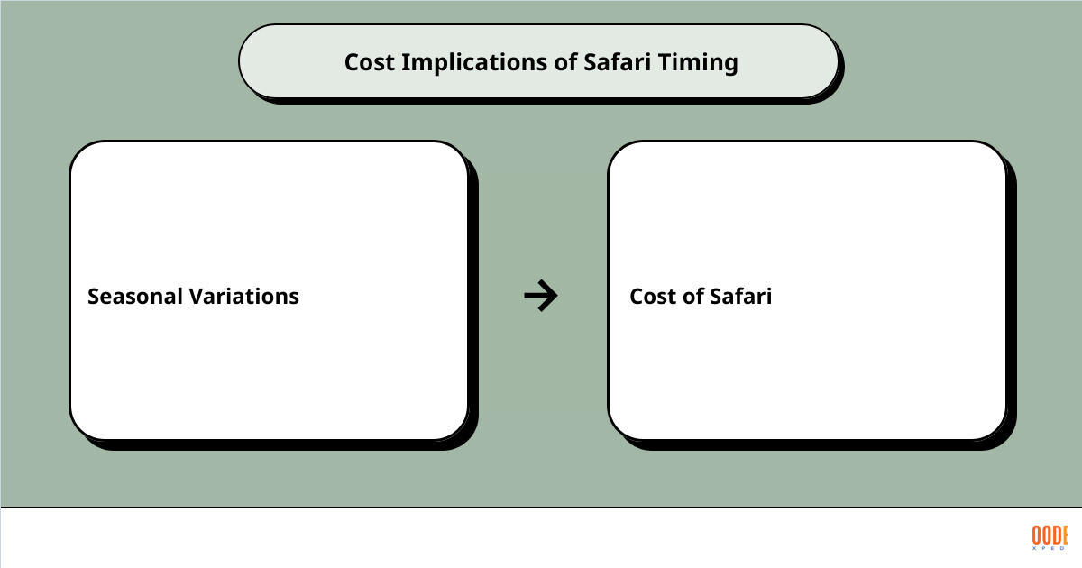 best time for african safaricause effect