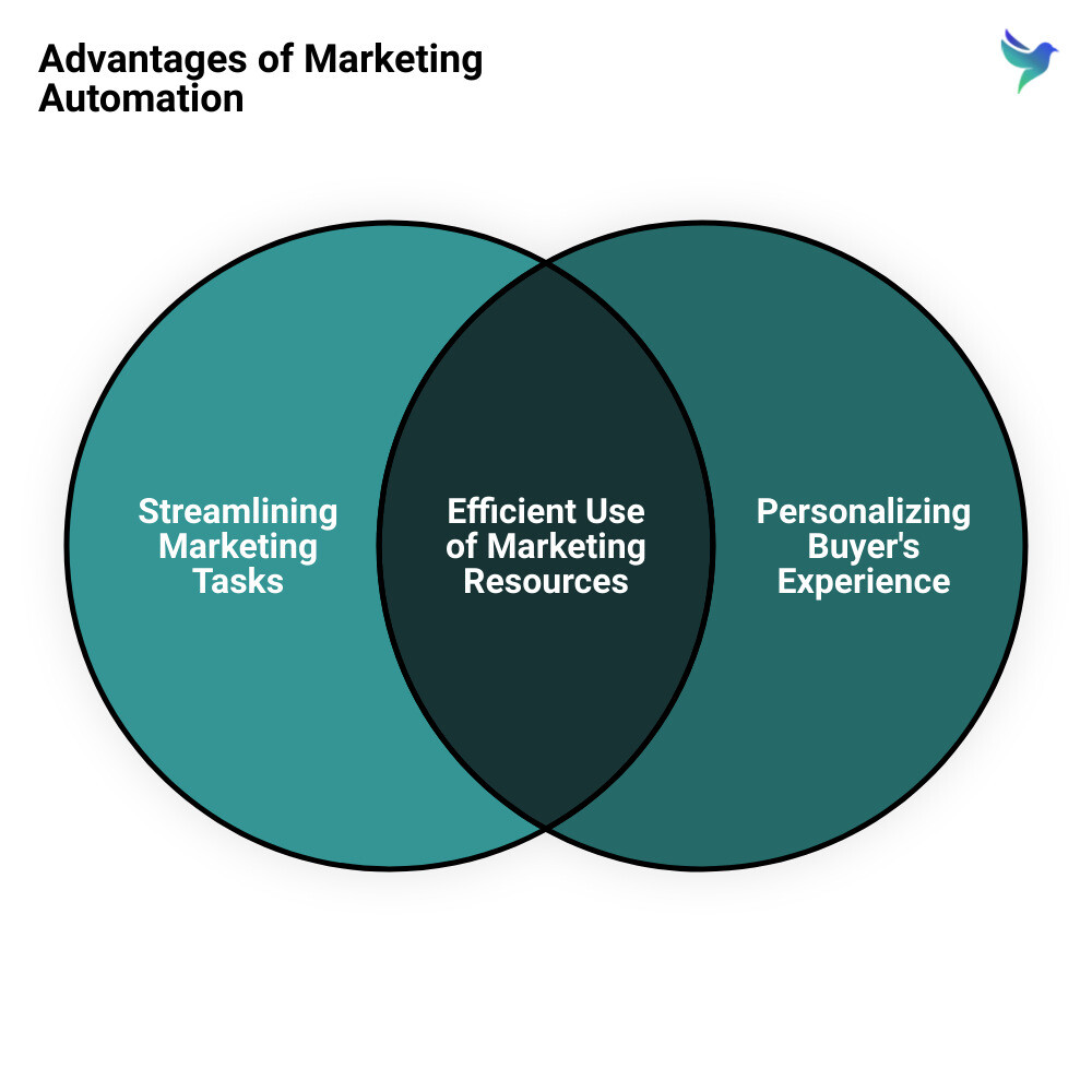 marketing automation consulting firmsvenn diagram