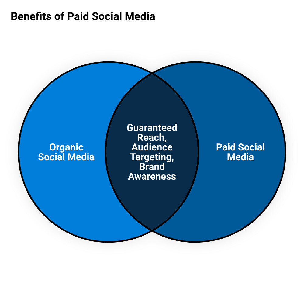 paid social media campaignsvenn diagram