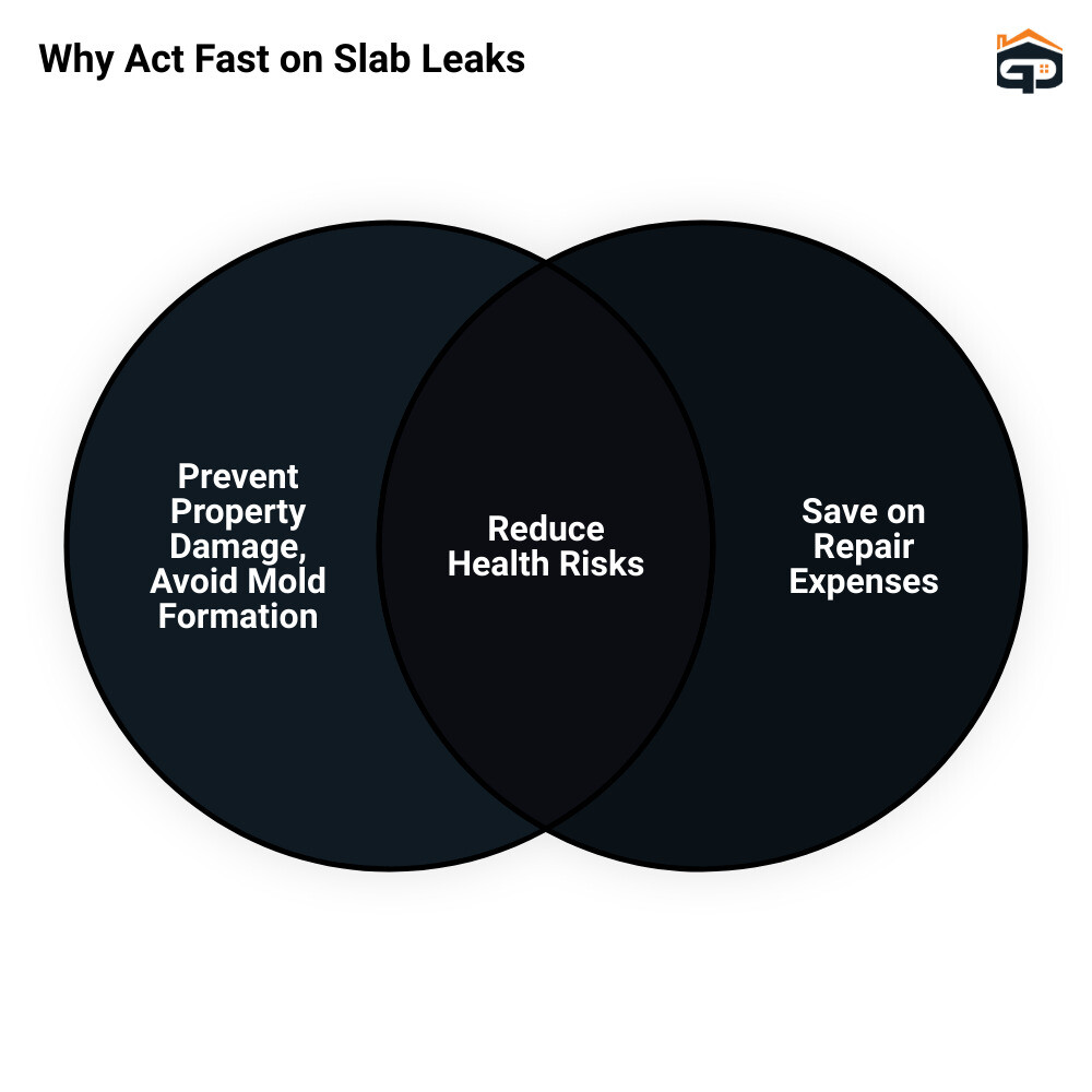 Slab leak detection and repair process infographic infographic