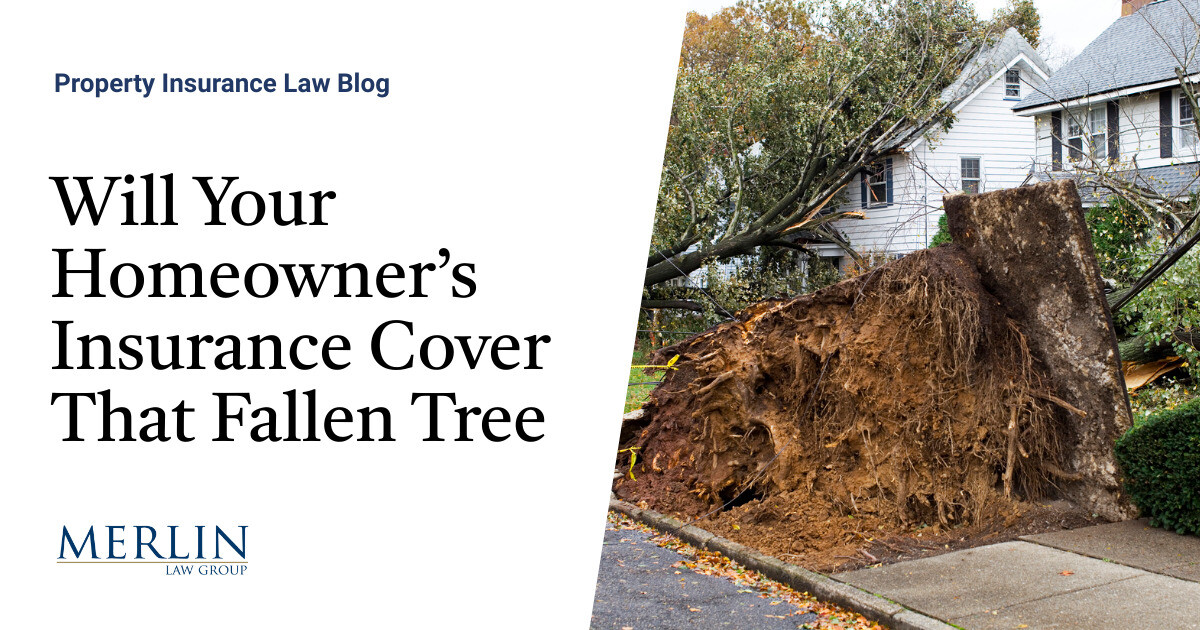 Will Your Homeowner’s Insurance Cover That Fallen Tree? Property