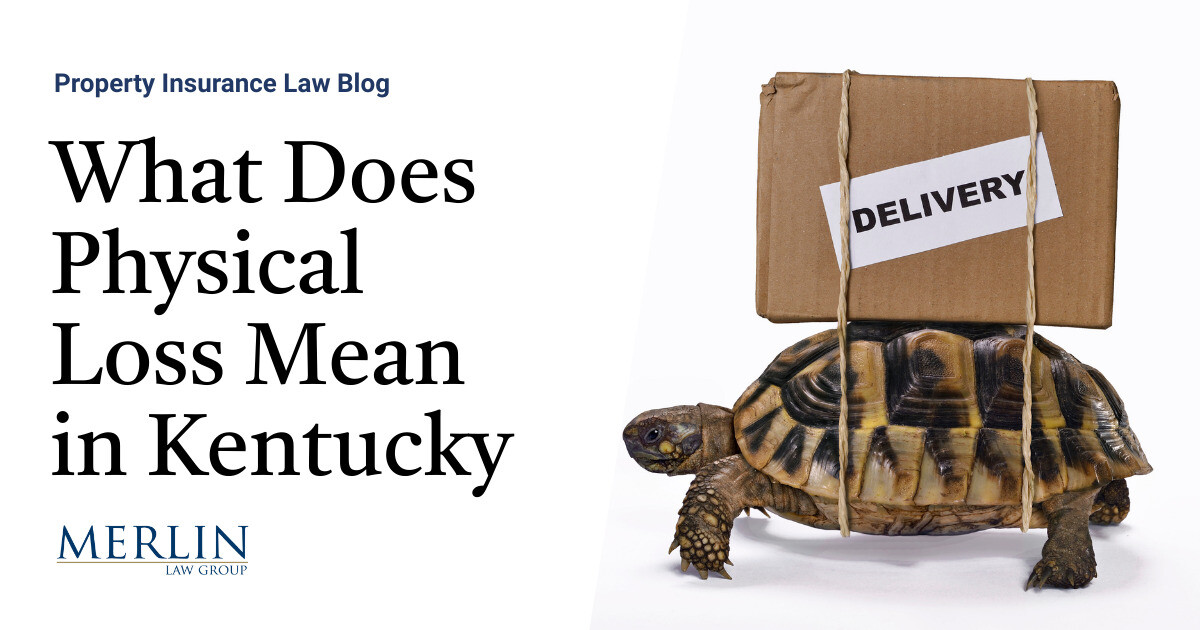 What Does Bodily Loss Imply in Kentucky? Can Momentary Delay Represent Bodily Loss?