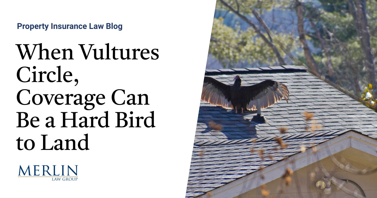 When Vultures Circle, Protection Can Be a Arduous Chook to Land
