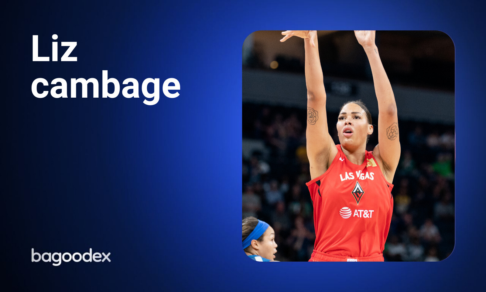 Liz cambage | BaGooDex Meta Search